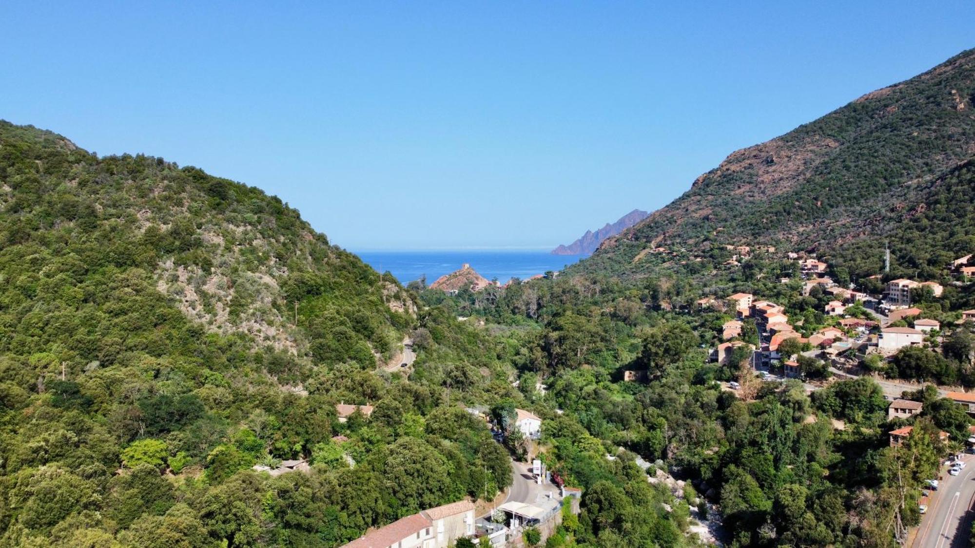 Camping Les Oliviers Porto  Eksteriør bilde