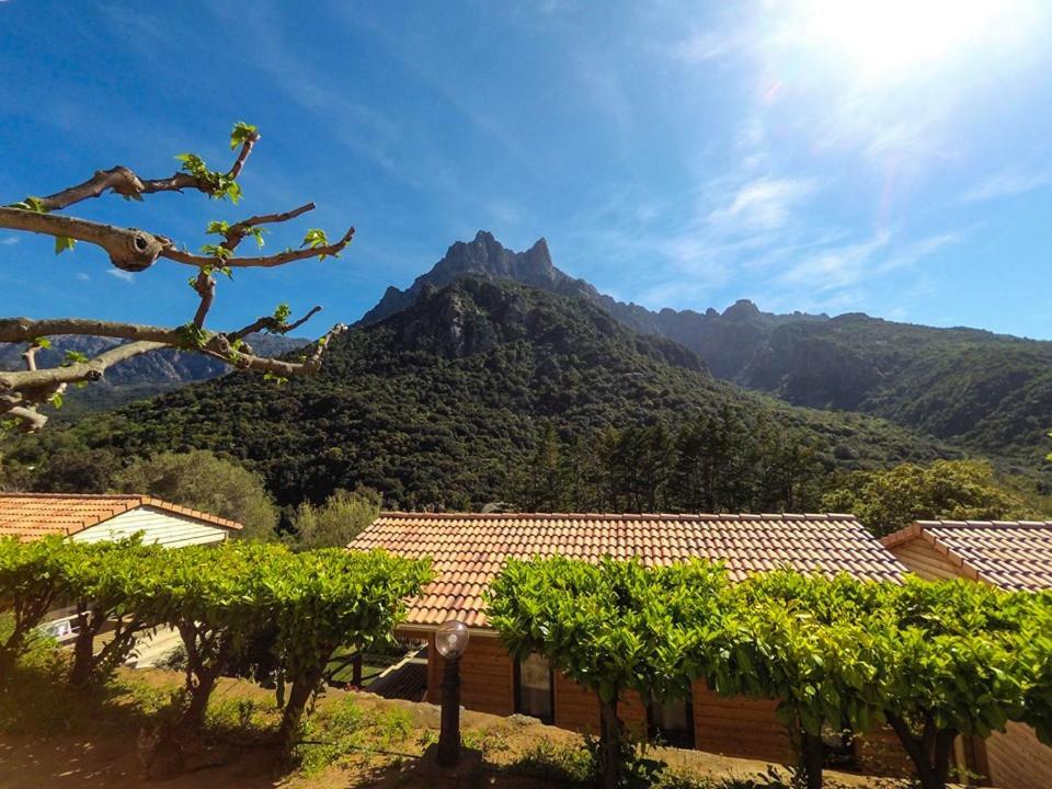 Camping Les Oliviers Porto  Eksteriør bilde